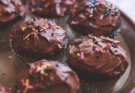 chocolate covered muffins