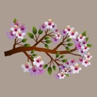 pink blooming branch, illustration