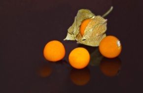 Physalis, orange Vegetables, still life