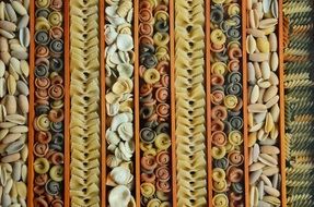 variety of pasta close-up