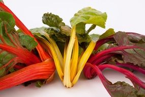 Chard Beta Herb