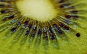 kiwi fruit delicious vitamins