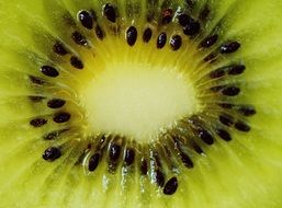 kiwi full of vitamins