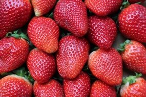 top view on ripe strawberries
