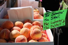 sweet and tasty peaches in the market