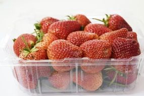 pack of strawberry fruit