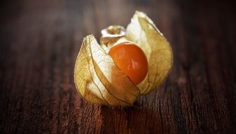 Physalis berry natural product