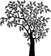 painted ebony on a black background
