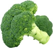 isolated green broccoli