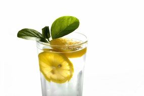 lemonade with mint and lemon