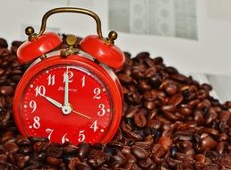 Coffee Break - beans and Alarm Clock