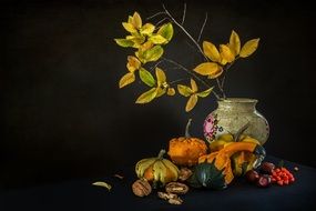 rustic still life, pumpkin, leaves and nuts