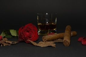 Red Rose Cigar Glass composition