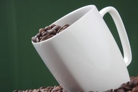 Coffee Bean