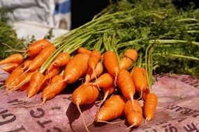 carrots with tails