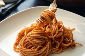 Pasta with souce Italian food