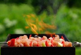 barbecue with red pepper on the grill