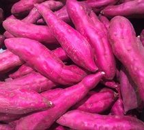 Sweet Potato Red