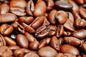 closeup photo of aromatic roasted Coffee Beans