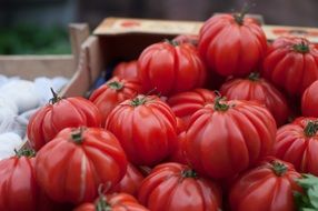 Red Tomatoes in box on Market