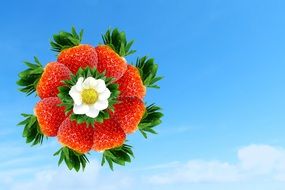 painted strawberry flower