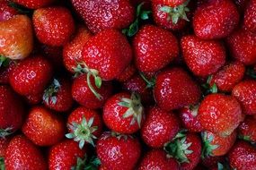 top view on ripe red strawberries