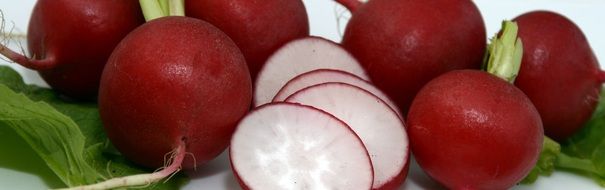 banner with the image of ripe burgundy radish