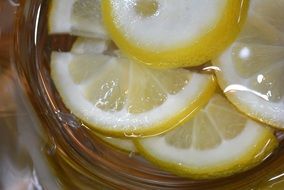 Lemons Slices