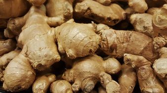 Lots of Ginger Roots