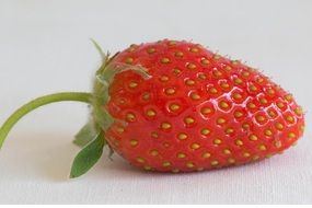 Ripe fresh tasty delicious red strawberry