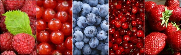 berry collage