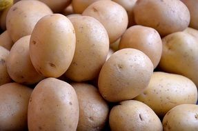 fresh Potatoes Vegetables