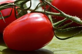 tomatoes like plums