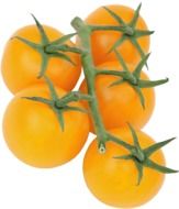 five yellow tomatoes on a branch