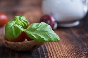 small tomatoes and fresh herbs in a wooden spoon