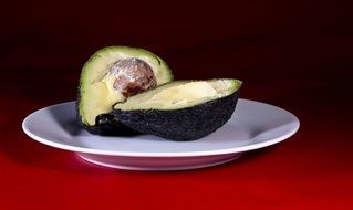 Avocado Tropical Fruit