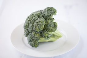 Brocoli Vegetables