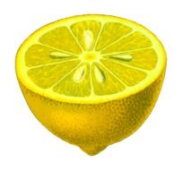 drawn half lemon