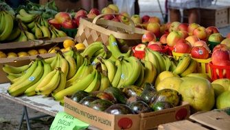 variety of fruits in the market