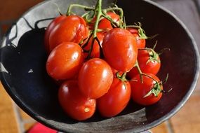 cluster of tomatoes in the bowl