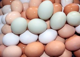 A lot of different raw eggs