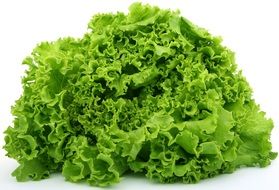 green salad is a tasty diet product