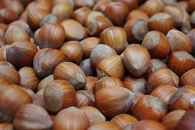 Hazelnuts