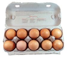 chicken eggs in carton