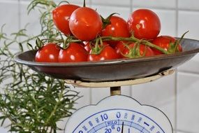 tomatoes on the scales