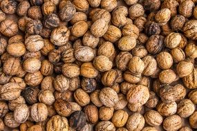 A lot of the walnuts in a bunch