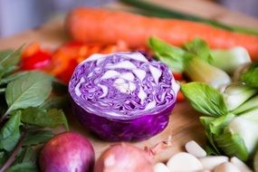 Salad with the fresh vegetables