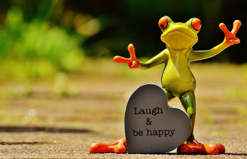 Laugh Happy sign and ceramic frog