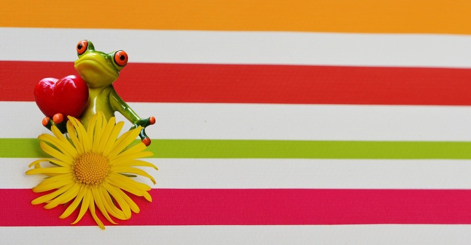 ceramic frog and yellow flower