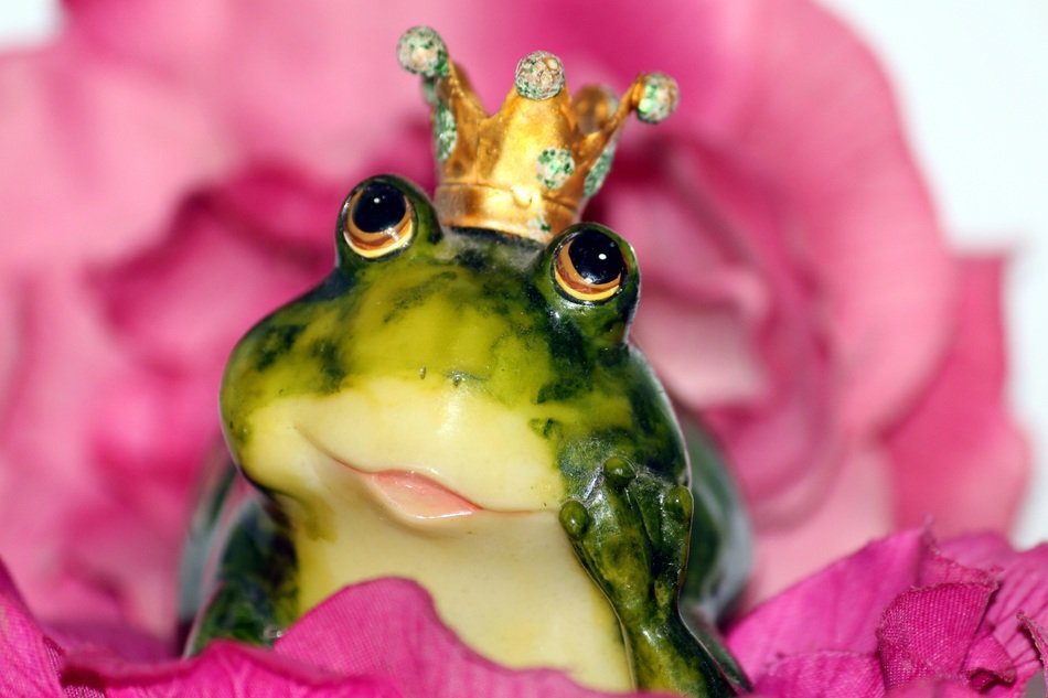 Frog Princes
